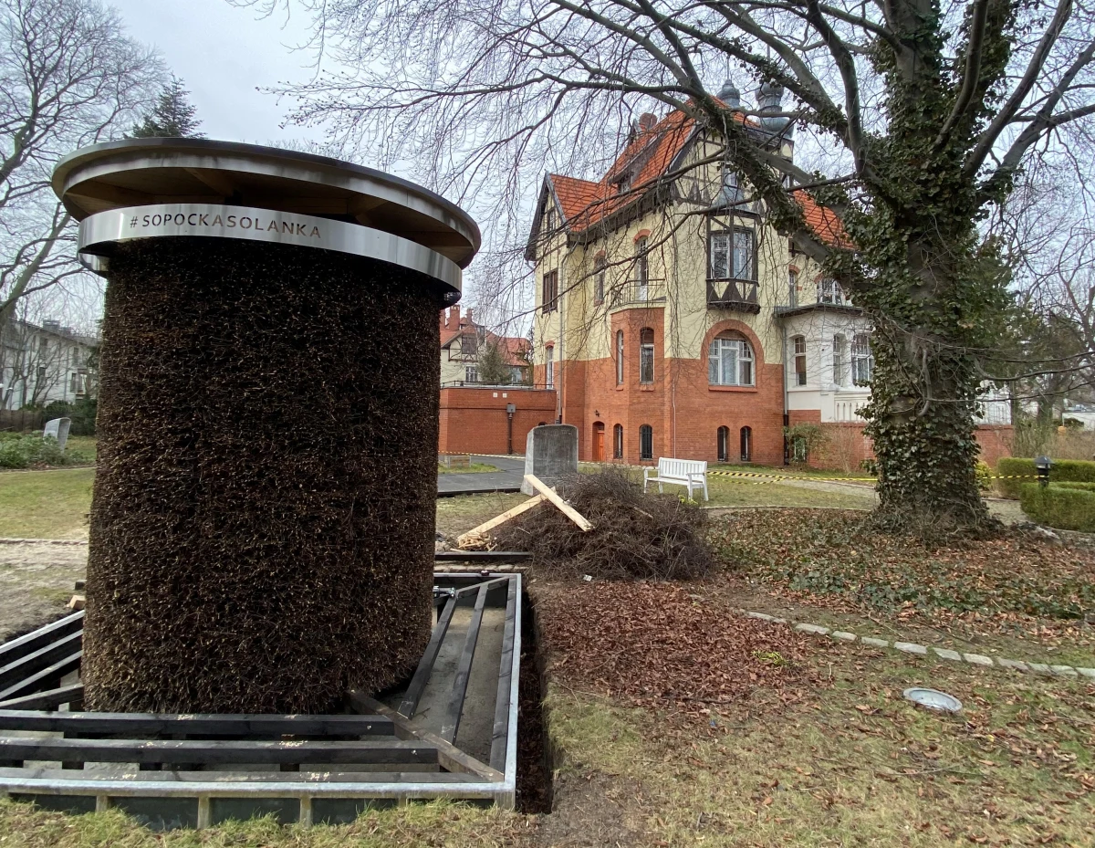 Nawilżają powietrze, obniżają temperaturę w czasie upałów i dobrze działają na zdrowie - w Sopocie zaczęły działać nowe tężnie solankowe. Zlokalizowane są na błoniach i w ogrodzie muzeum miasta.