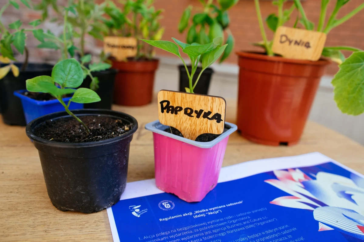 Warunki pogodowe spowolniły rozwój drzew owocowych. Nie odnotowano natomiast strat na plantacjach krzewów owocowych - podał GUS w najnowszym komunikacie. Przed sezonem, wielu z nas zastanawia się, ile w tym roku kosztować będą truskawki, maliny, czy wczesne jabłka. 