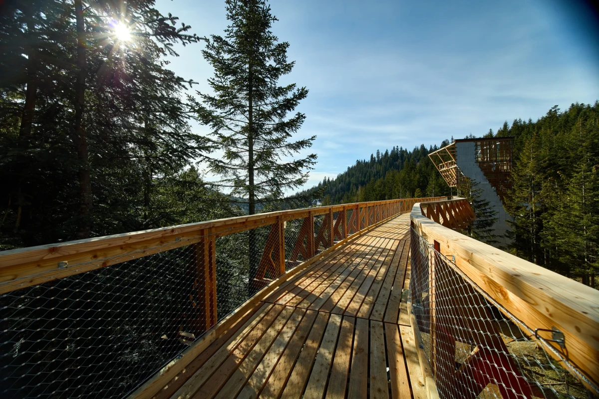 Już w niedzielę w Waksmundzie koło Nowego Targu na Podhalu otwarta zostanie Brama w Gorce. To Centrum Przyrodniczo-Edukacyjne, które ma stać się jedną z największych atrakcji regionu.

