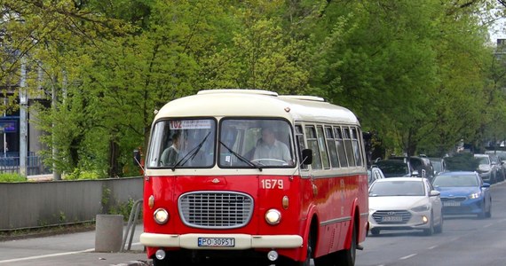 W sobotę po raz pierwszy w sezonie 2023 na trasy wyjadą historyczne autobusy linii 100 i 102 - przekazuje poznańskie MPK. Na zabytkowe tramwaje poznaniacy będą musieli poczekać do 13 maja - wtedy otwarty zostanie ruch tramwajowy w centrum miasta.
