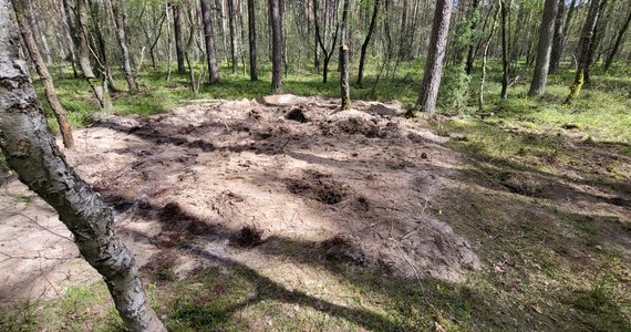 "Powstały pewne hipotezy, co się zdarzyło w Zamościu pod Bydgoszczą" – powiedział w piątek dowódca operacyjny rodzajów sił zbrojnych gen. broni Tomasz Piotrowski. "Panujemy nad tym, co się dzieje, i w porozumieniu z prokuraturą na pewno wyjaśnimy cała sytuację" - zapewnił.