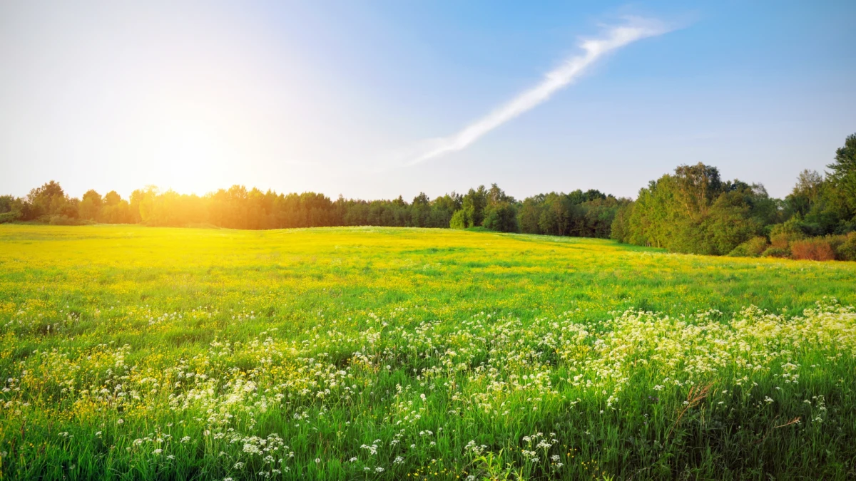 W majówkę nad morzem będzie chłodno i wietrznie. Na południu cieplej, ale i deszczowo. Najlepszym miejscem - z uwagi na pogodę - będzie Roztocze, Pojezierze Mazurskie lub Wielkopolskie - mówi rzecznik IMGW Grzegorz Walijewski.