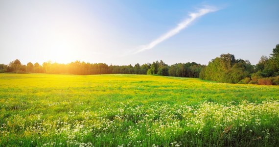 W majówkę nad morzem będzie chłodno i wietrznie. Na południu cieplej, ale i deszczowo. Najlepszym miejscem - z uwagi na pogodę - będzie Roztocze, Pojezierze Mazurskie lub Wielkopolskie - mówi rzecznik IMGW Grzegorz Walijewski.