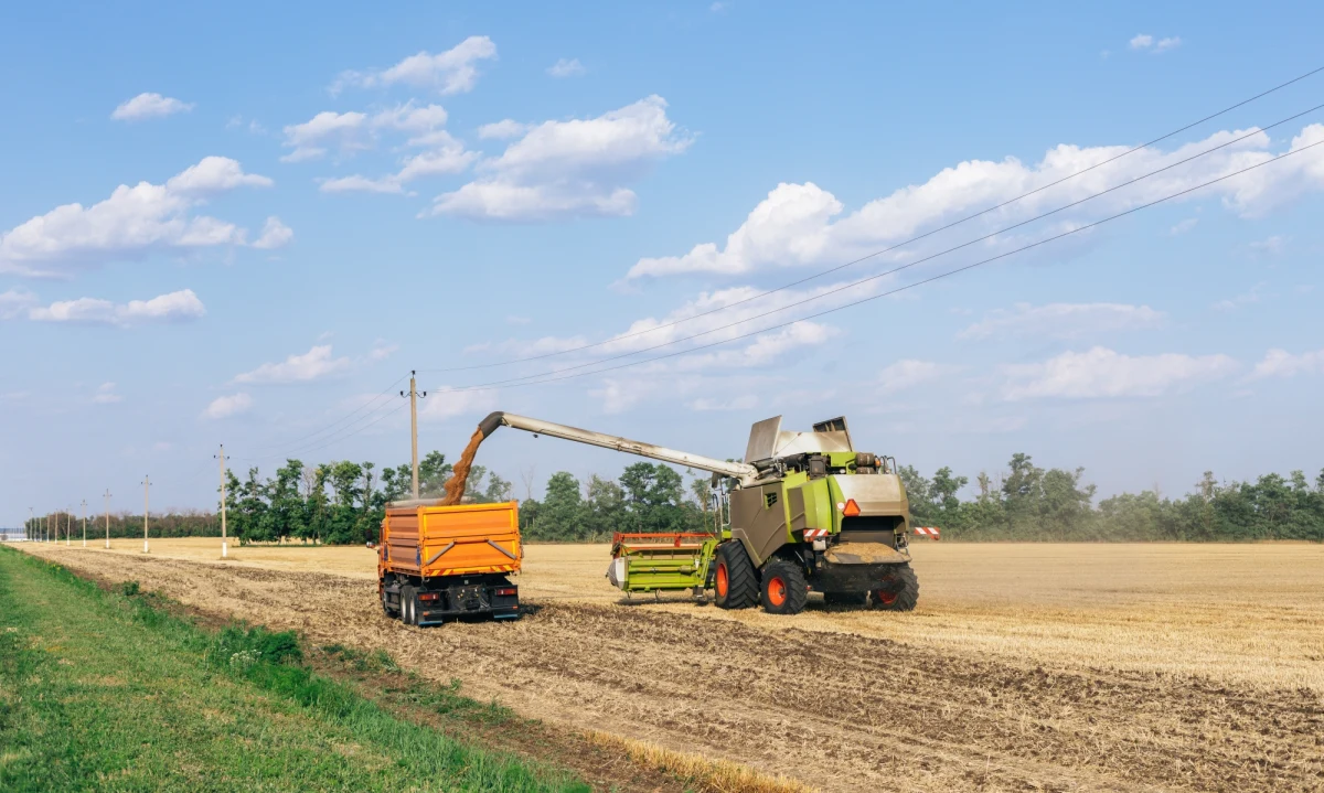 Do 2 maja Polska musi się wycofać z zakazu importu z Ukrainy kilkudziesięciu artykułów żywnościowych, by je zastąpić rozwiązaniem unijnym, czyli embargiem na cztery artykuły - pszenicę, kukurydzę, rzepak i nasiona słonecznika - dowiedziała się nasza dziennikarka w Brukseli. 