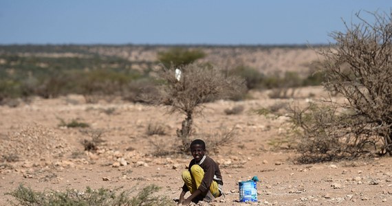 Rejon Rogu Afryki mierzy się z najgorszą od 40 lat suszą. Brakuje wody, a miliony ludzi cierpią z głodu. Naukowcy wskazują, że sytuacja nie byłaby aż tak zła, gdyby nie konflikty oraz postępujący kryzys klimatyczny, do którego skutków ludzie w ogóle nie są przygotowani. 