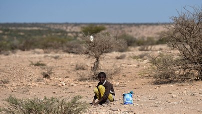 Kryzys klimatyczny napędza suszę w Rogu Afryki. Sytuacja najgorsza od 40 lat 