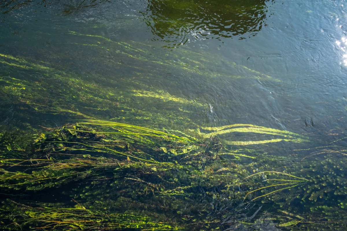 Ciało około 60-letniej kobiety wyłowiono w okolicy Mostu Portowego na rzece Parsęta w Kołobrzegu.