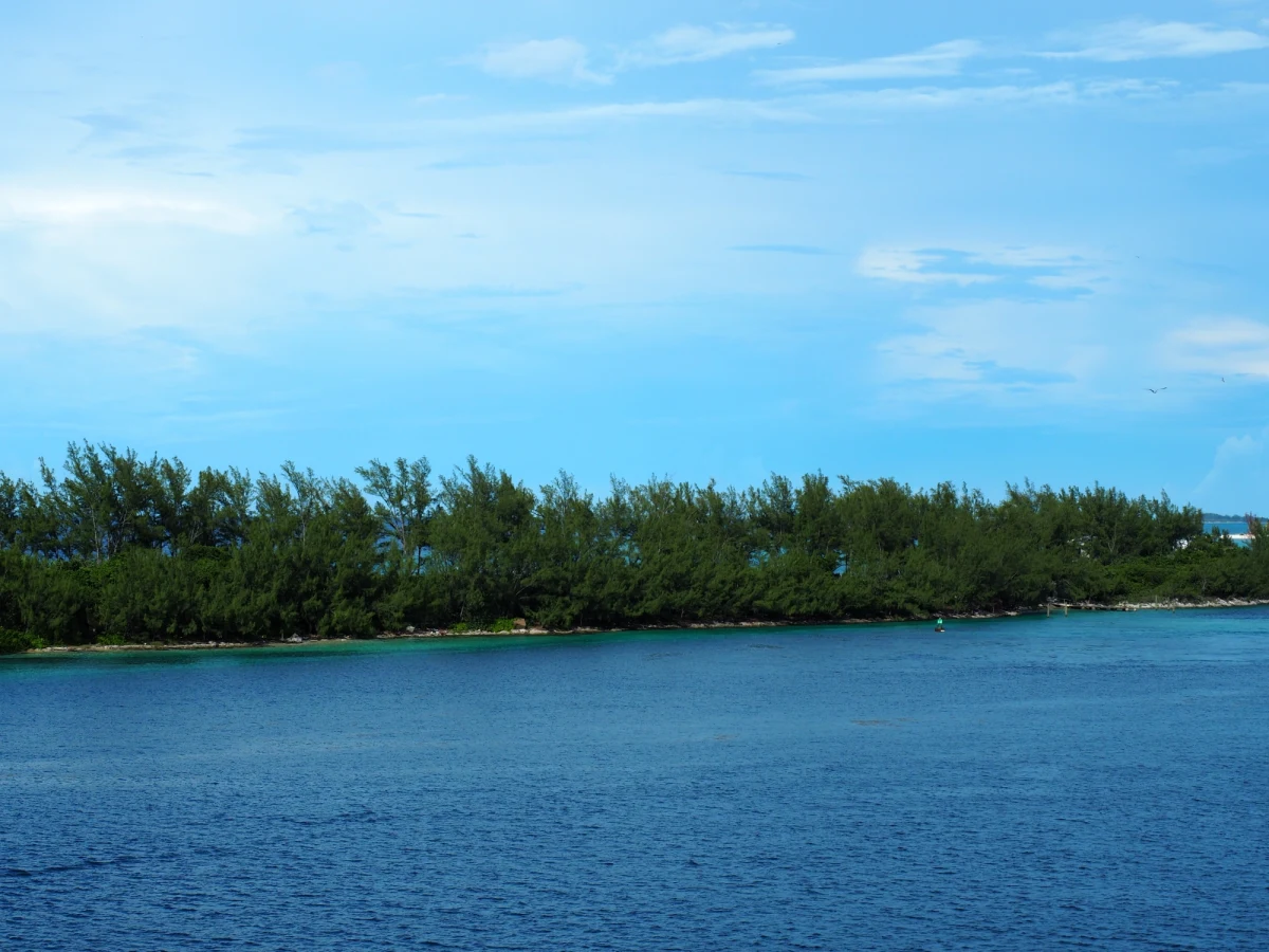 Nie żyje 29-latek, który wpadł do zalewu Chańcza w powiecie staszowskim w Świętokrzyskiem. Przechodnie wyciągnęli z wody także dwie kobiety, które próbowały uratować mężczyznę, jednak same zaczęły tonąć - poinformowała mł. asp. Joanna Szczepaniak ze staszowskiej policji.