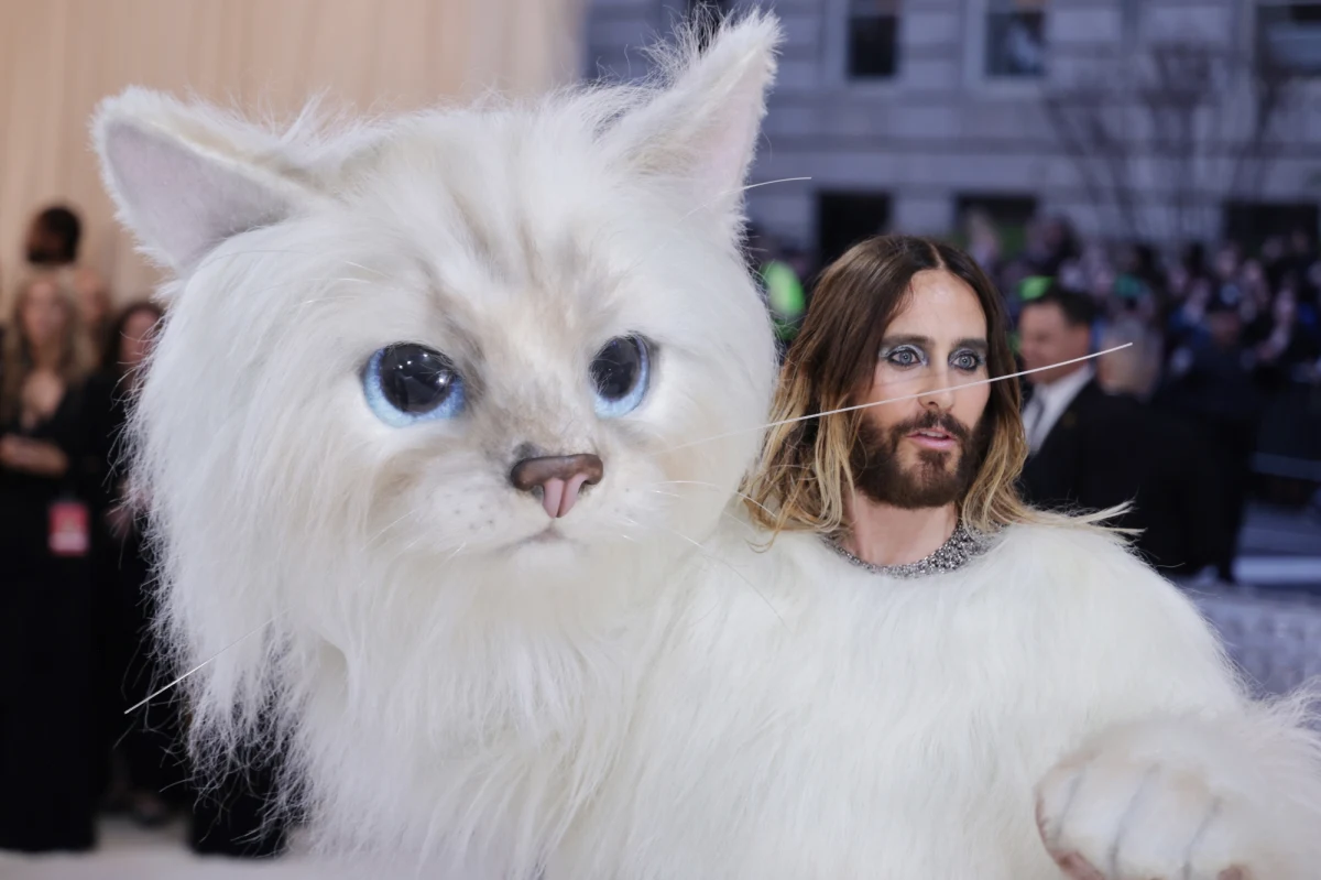 Jared Leto w kostiumie kota birmańskiego, Doja Cat z protezą kociego nosa, raper Lil Nas X w maske z klejnotami i ciałem pokrytym metaliczną farbą – gwiazdy show-biznesu pokazały się w ekstrawaganckich kreacjach na gali Metropolitan Museum of Art. Impreza charytatywna w tym roku odbyła się pod hasłem: „Na część Karla (Lagerfelda – przy. RMF FM)”. 