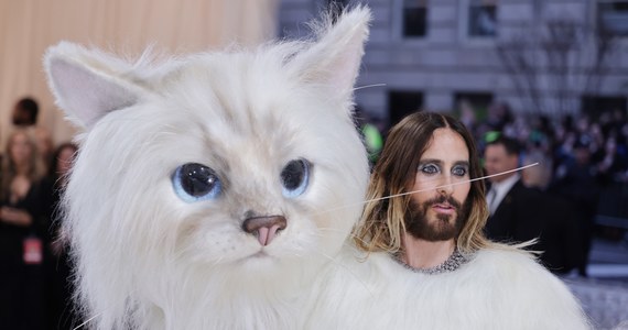 Jared Leto w kostiumie kota birmańskiego, Doja Cat z protezą kociego nosa, raper Lil Nas X w maske z klejnotami i ciałem pokrytym metaliczną farbą – gwiazdy show-biznesu pokazały się w ekstrawaganckich kreacjach na gali Metropolitan Museum of Art. Impreza charytatywna w tym roku odbyła się pod hasłem: „Na część Karla (Lagerfelda – przy. RMF FM)”. 