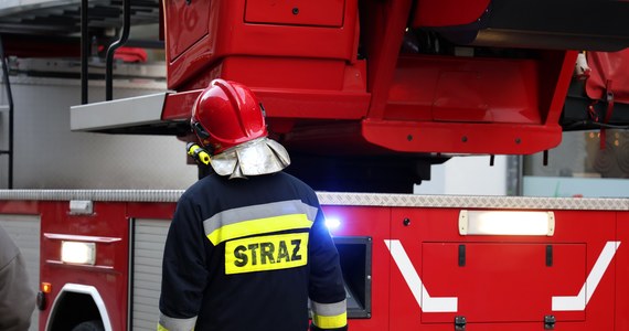 Do pożaru stolarni doszło w miejscowości Paulinowo w powiecie nowodworskim (Mazowieckie). Do akcji gaszenia ognia zadysponowano około 60 strażaków. Nikt nie został ranny. 