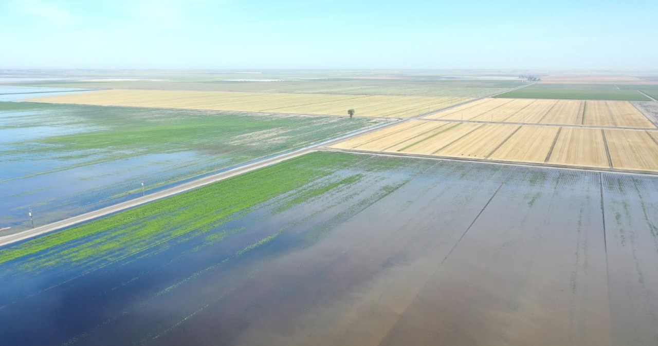 Woda z roztopów zalewa pola. Rolnicy alarmują. "Sytuacja jest dramatyczna"