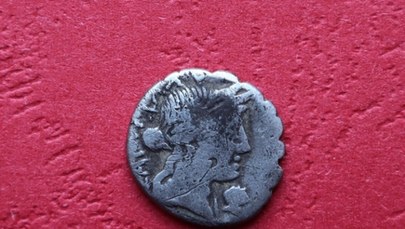 Moneta sprzed 2 tysięcy lat. Niezwykłe znalezisko na Lubelszczyźnie
