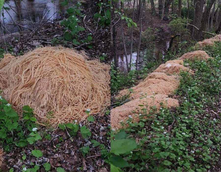 /foto: Nina Jochnowitz for Old Bridge/Facebook /