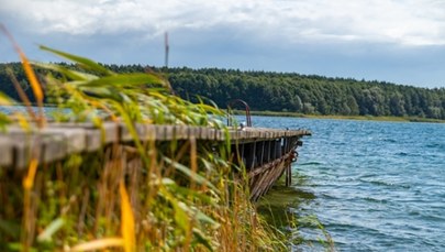 Prawie 200 martwych ptaków w Jeziorze Powidzkim