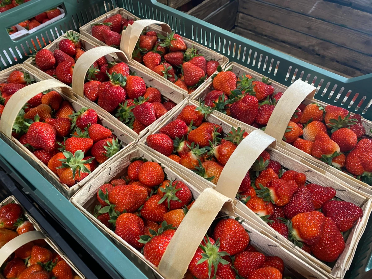 33 złote - tyle dziś trzeba zapłacić za kilogram polskich truskawek na rynku hurtowym w Broniszach. Tyle kosztuje piękna, soczysta, polska Rumba. 30 złotych trzeba zapłacić za polską Flair. Po raz pierwszy pojawiły się polskie ziemniaki - Irga z jasnoróżową skórką kosztuje 18 zł za kilogram.