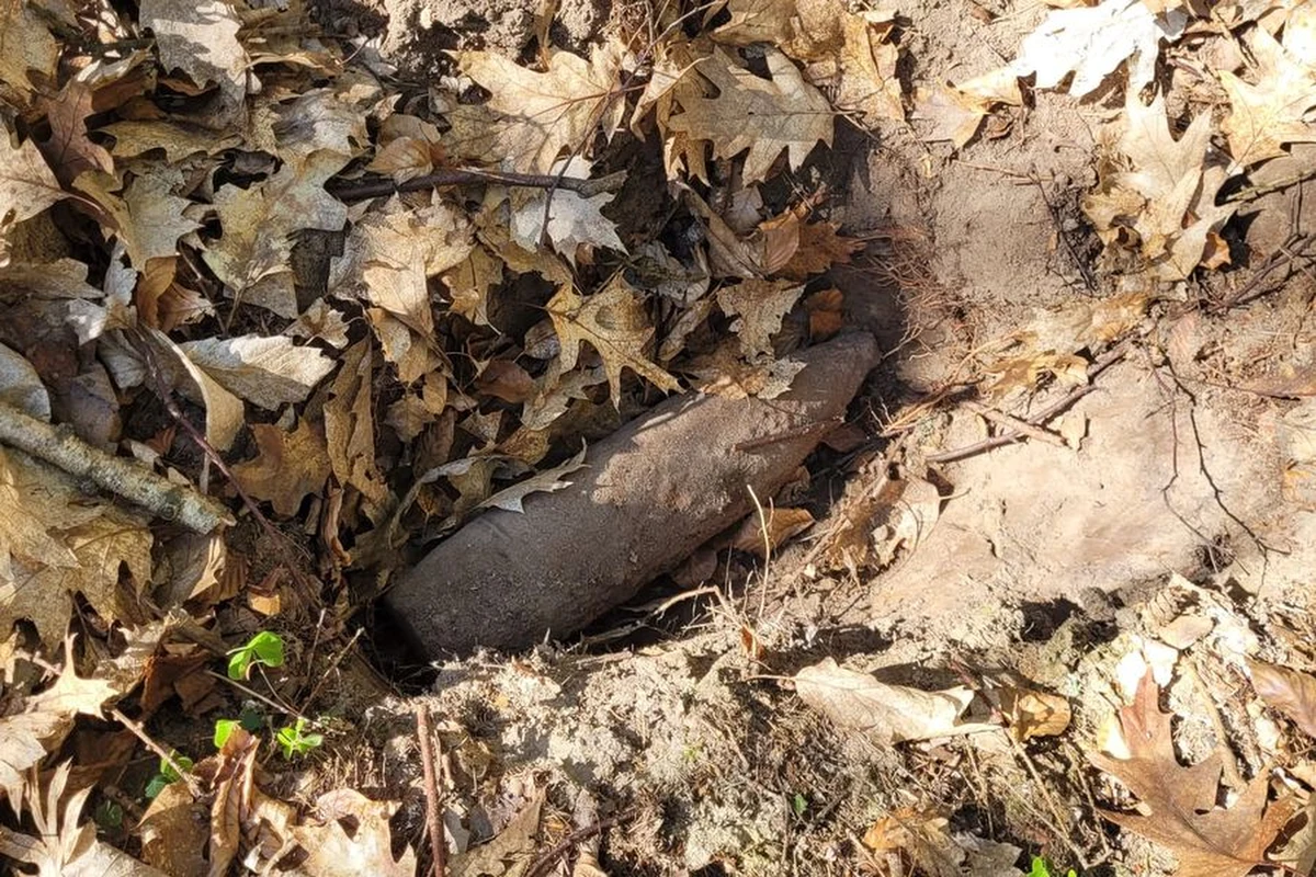 Dwa pociski artyleryjskie 150 mm z czasów II wojny światowej znalazła kobieta spacerująca po lesie w Sopocie. Niewybuchy zostały już wywiezione przez saperów.


