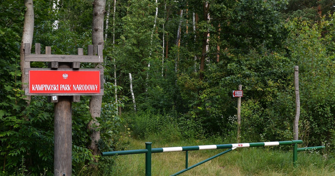 Utwardzona droga wiedzie do lasu. Czy można nią jechać czy będzie mandat?