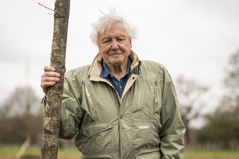 Mimo 97 lat Sir David Attenborough, słynny brytyjski biolog, podróżnik i filmowiec, wciąż podróżuje, kręci filmy i nieprzerwanie walczy o czystość planety, a za sprawą najnowszych produkcji jego audytorium może być większe niż kiedykolwiek.  