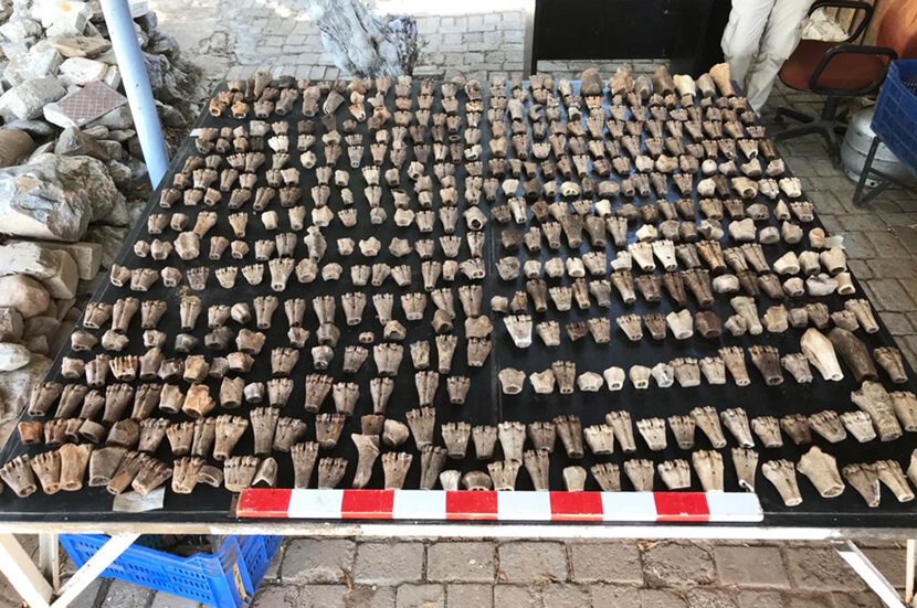 /Uniwersytet Przyrodniczy we Wrocławiu /