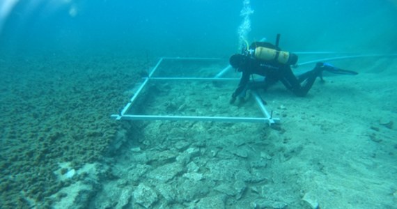 Liczącą 7 tys. lat drogę znaleźli archeologowie podczas podwodnych badań na wyspie Korcula w południowej Dalmacji - poinformował uniwersytet w chorwackim Zadarze.