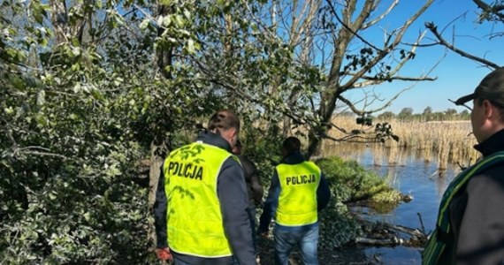 Żnińska policja poinformowała o zatrzymaniu dwóch mężczyzn podejrzanych o strącenie 110 gniazd kormoranów i zabicie ok. 300 piskląt na wyspie na Jeziorze Tonowskim  w woj. kujawsko-pomorskim. 