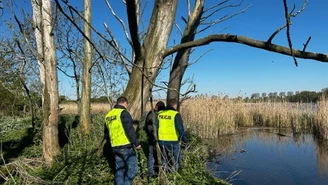 Zabili około 300 piskląt i zniszczyli gniazda. Policja ma podejrzanych 