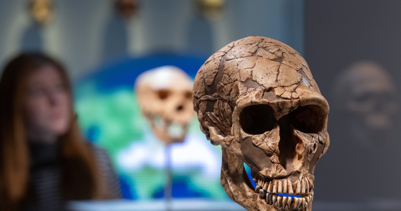 "Arktyczny nos" to mit. Naukowcy podważają teorię o neandertalczykach