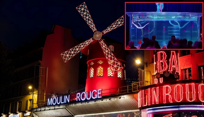 Moulin Rouge zawiesza spektakl z wężami. Klub posłuchał protestujących
