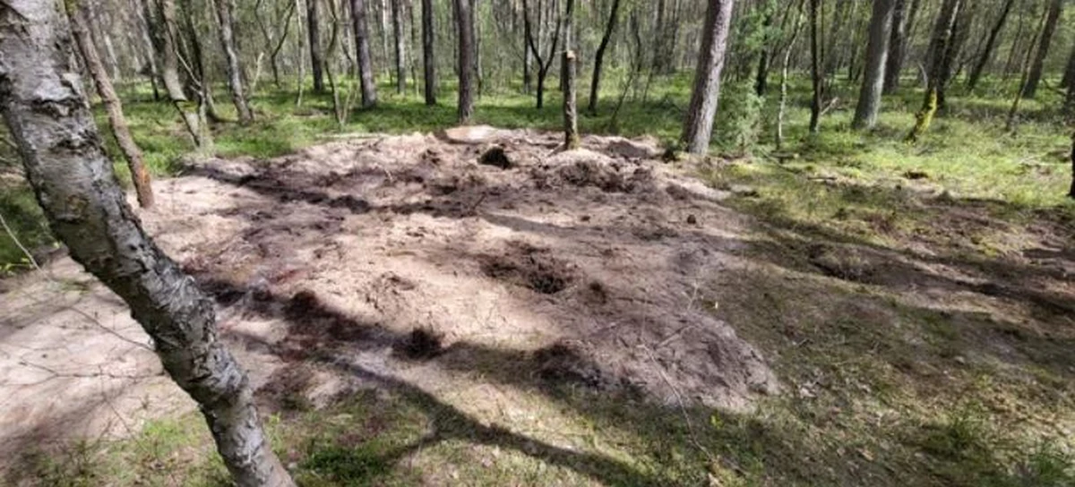 W rządzie na razie nie będzie decyzji personalnych po zamieszaniu z rosyjską rakietą, którą odnaleziono koło Bydgoszczy - ustalił dziennikarz RMF FM Roch Kowalski. Do incydentu doszło w grudniu. Premier Mateusz Morawiecki mówił wczoraj na konferencji prasowej, że o zdarzeniu dowiedział się w kwietniu. Dziś do słów szefa rządu odniósł się w Porannej rozmowie w RMF FM wiceszef MSZ Paweł Jabłoński. Według niego premier miał na myśli, że pod koniec kwietnia otrzymał informację o odnalezieniu rakiety, a nie o tym, że spadła ona w Polsce. Szef rządu na dzisiejszej konferencji prasowej powtórzył jednak, że o zdarzeniu powiadomiono go pod koniec kwietnia.