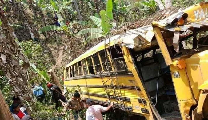 Autobus wjechał w pasiekę. Sześć osób zmarło po użądleniach przez pszczoły