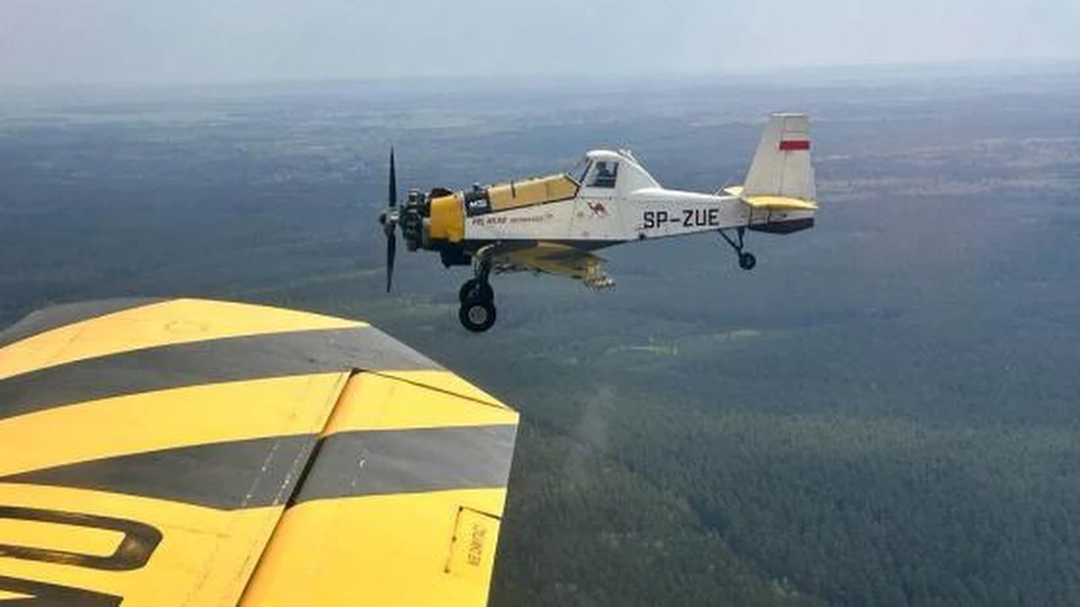 Samoloty gaśnicze z Regionalnej Dyrekcji Lasów Państwowych w Olsztynie uczestniczyły w gaszeniu rozległego pożaru lasu i wrzosowiska na terenie Nadleśnictwa Drygały (RDLP Białystok). To teren poligonu wojskowego koło Orzysza. W drodze do pożaru piloci zauważyli też rozwijający się pożar młodnika niedaleko Pisza.
