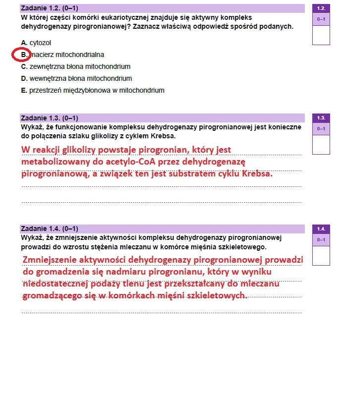 Matura 2023: Biologia, Arkusze CKE I Odpowiedzi - Poziom Rozszerzony ...