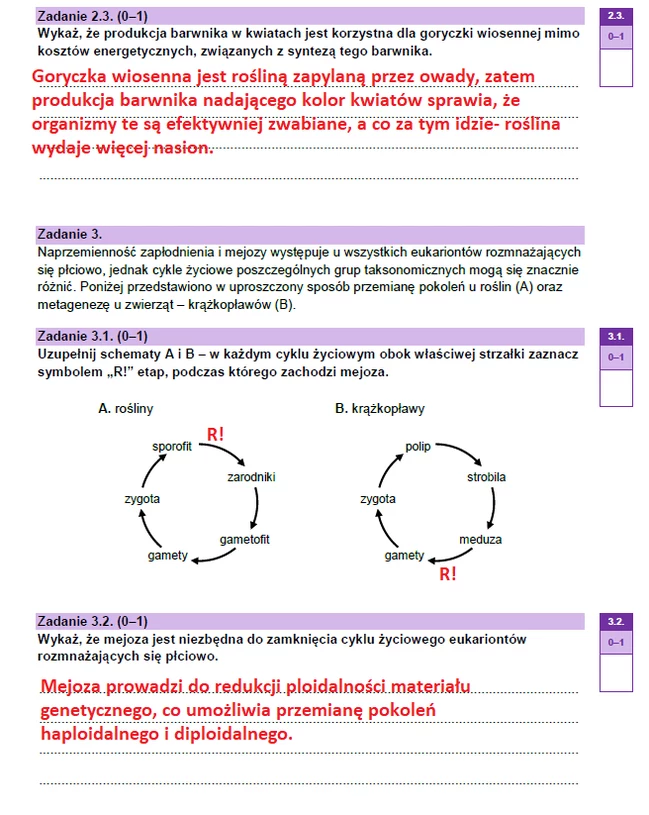 Matura 2023: Biologia, Arkusze CKE I Odpowiedzi - Poziom Rozszerzony ...