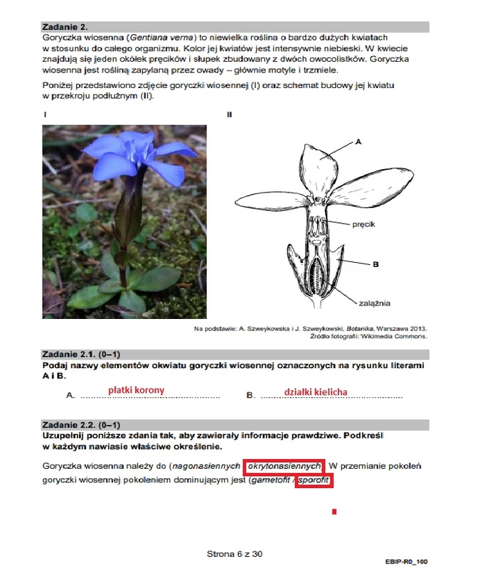 Matura 2023 Z Biologii. Arkusz CKE I Rozwiązania, Formuła 2015 ...