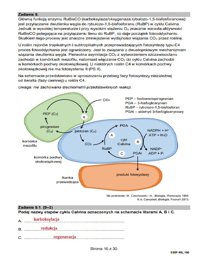 Arkusz CKE I Odpowiedzi - Matura 2023 Z Biologii. Formuła 2015 ...