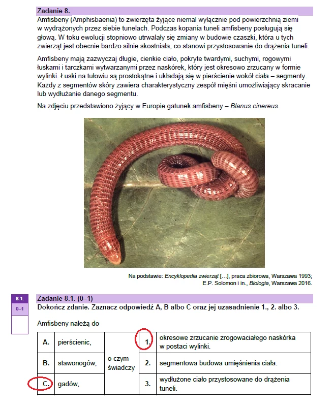 Matura 2023: Biologia, Arkusze CKE I Odpowiedzi - Poziom Rozszerzony ...