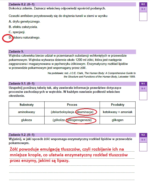 Matura 2023: Biologia, Arkusze CKE I Odpowiedzi - Poziom Rozszerzony ...