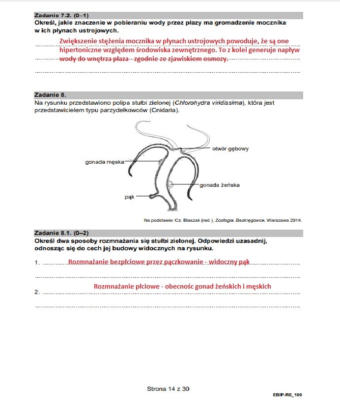 Arkusz CKE I Odpowiedzi - Matura 2023 Z Biologii. Formuła 2015 ...