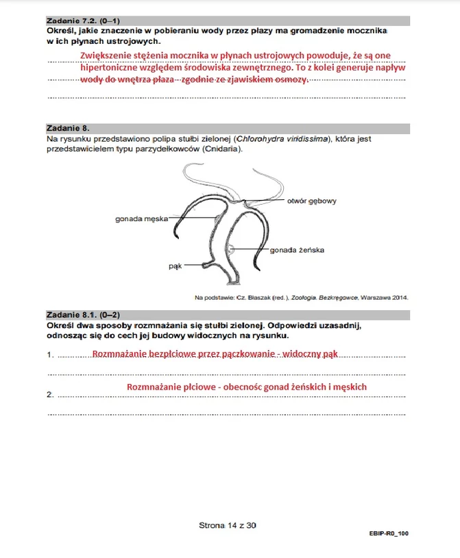 Matura 2023 Z Biologii. Arkusz CKE I Rozwiązania, Formuła 2015 ...