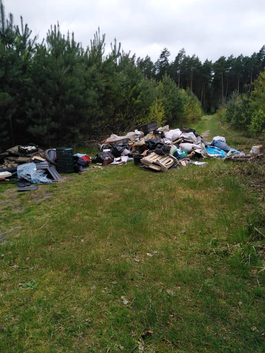 Właściciela śmieci wyrzuconych w lesie szuka Nadleśnictwo Zawadzkie z Opolszczyzny. Leśnicy opublikowali w internecie zdjęcia odpadów, którymi zablokowano drogę pożarową i zaapelowali o pomoc. 