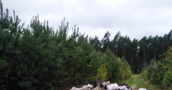 Właściciela śmieci wyrzuconych w lesie szuka Nadleśnictwo Zawadzkie z Opolszczyzny. Leśnicy opublikowali w internecie zdjęcia odpadów, którymi zablokowano drogę pożarową i zaapelowali o pomoc. 