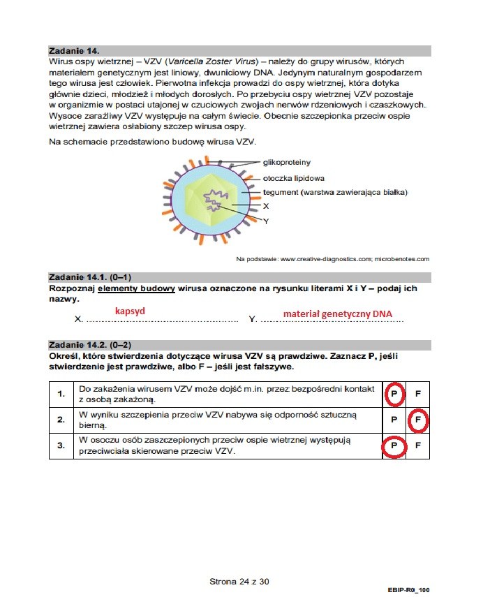 Arkusz CKE I Odpowiedzi - Matura 2023 Z Biologii. Formuła 2015 ...