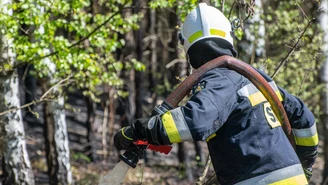 Pożar lasu w Olsztynie. Podczas akcji gaśniczej znaleziono ciało mężczyzny