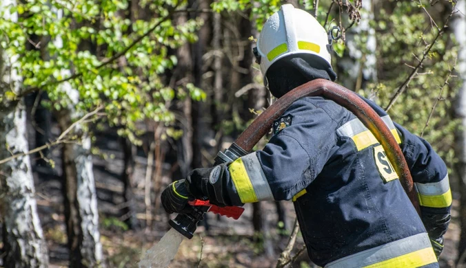 Pożar lasu w Olsztynie. Podczas akcji gaśniczej znaleziono ciało mężczyzny