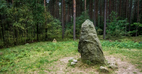 Grupa mieszkańców wsi Kieźliny w gminie Dywity pod Olsztynem złożyła do gminy pismo, w którym poprosiła o usunięcie z ich wsi głazu poświęconego sowieckiemu żołnierzowi Piotrowi Diernowowi. Gmina zapowiedziała, że zasięgnie w tej sprawie opinii wojewody.