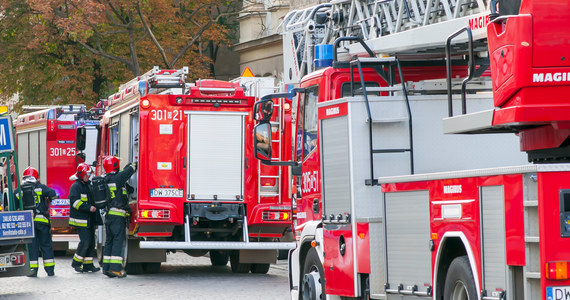 170 osób ewakuowano z budynku szkoły podstawowej przy ul. Komuny Paryskiej w Szczecinie. W szkolnej łazience wybuchł pożar i pojawiło się duże zadymienie. Jedno z dzieci zasłabło, ratownicy pogotowia podali mu tlen. Na miejscu pracuje jeden zastęp strażaków.