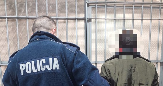 Jaworscy policjanci wezwani do zdarzenia drogowego zatrzymali pięciu nielegalnych imigrantów z Afganistanu, którzy chcieli pojechać do Niemiec. Kierowca pojazdu - 27-latek z Turkmenistanu - usłyszał już zarzut pomocnictwa w nielegalnym przekroczeniu granicy.