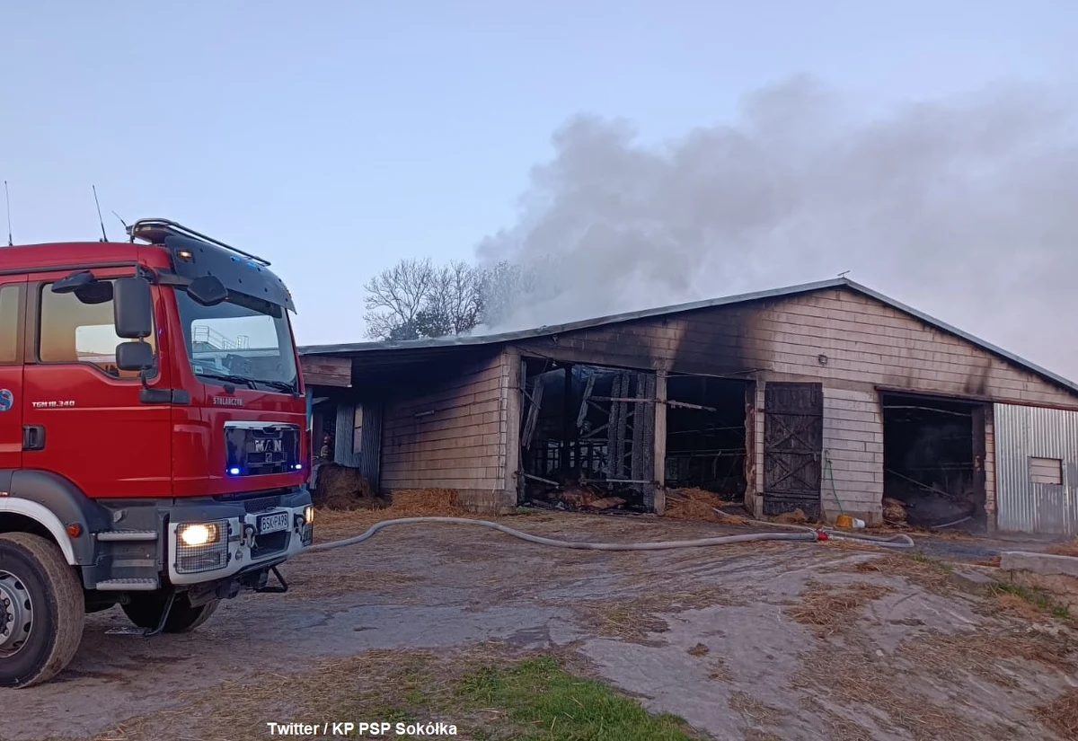 Ponad 100 krów zginęło w pożarze obory w miejscowości Kizielany (pow. sokólski, woj. podlaskie). W trwającej ponad 6 akcji akcji gaśniczej brało udział 13 zastępów PSP i OSP.