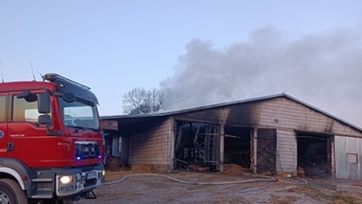 Pożar obory na Podlasiu. Zginęło ponad 100 krów